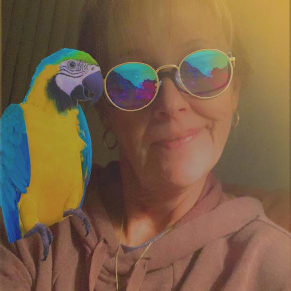 Meet your Posher, Terry - Picture 1 of 1